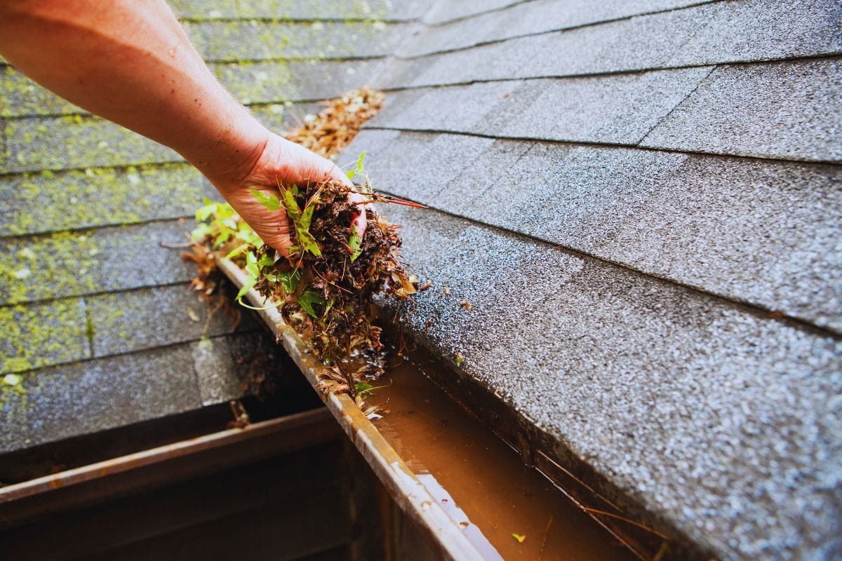 How to Clean Gutters Safely in Dallas, TX Emerson Gutters